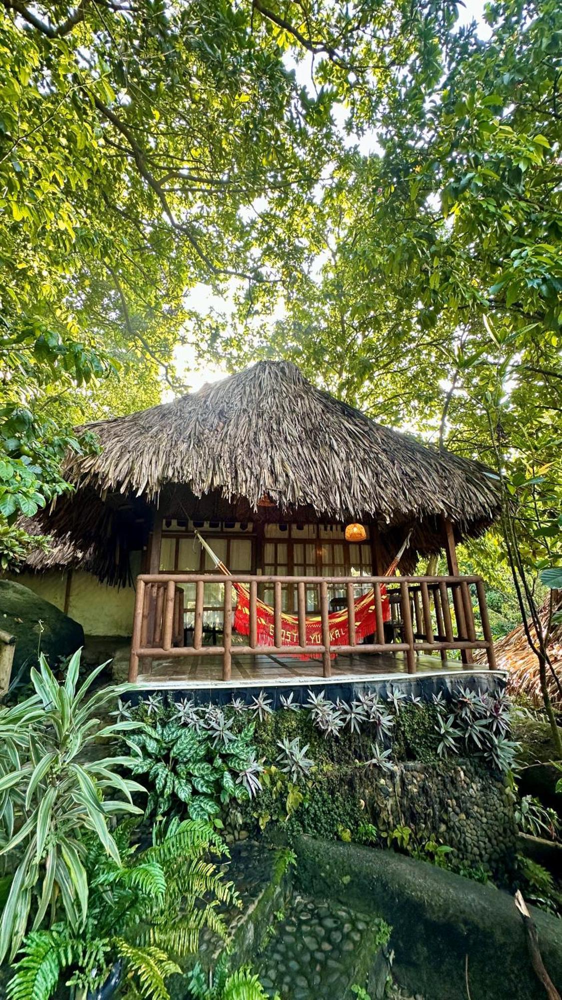 Eco Hostal Yuluka الزينو المظهر الخارجي الصورة
